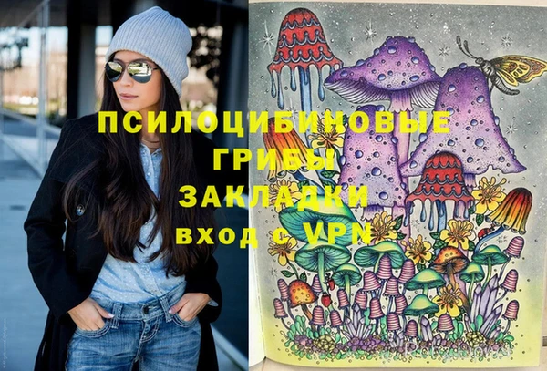 эйфоретик Медвежьегорск
